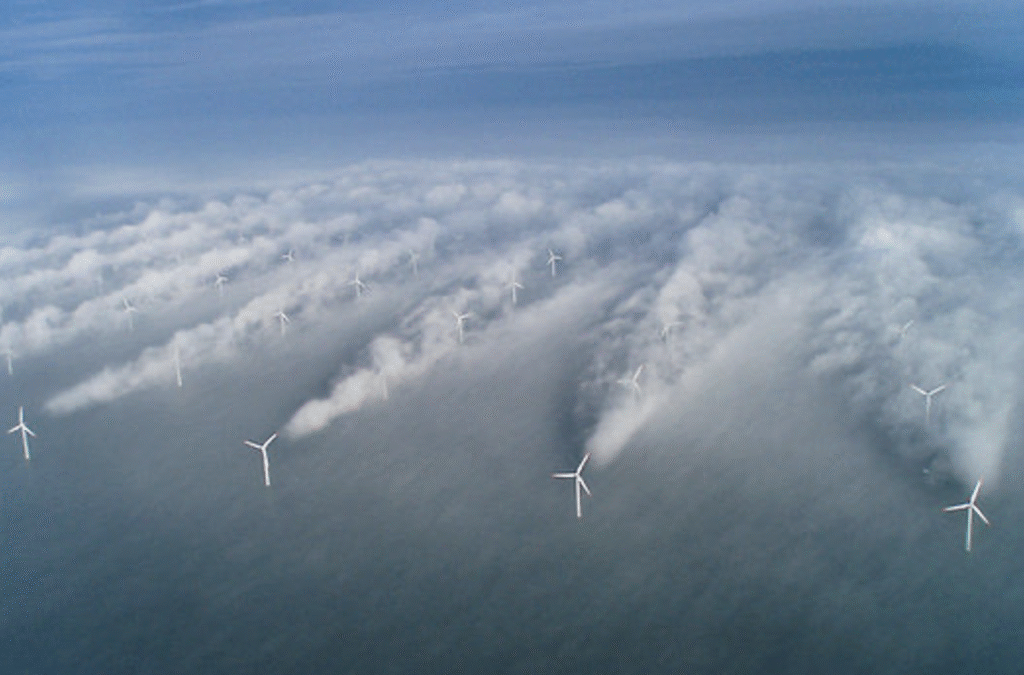 Design of Real-time Estimation Algorithms for Fault Detection and Load Mitigation Control at the Wind Farms Scale (CAS)