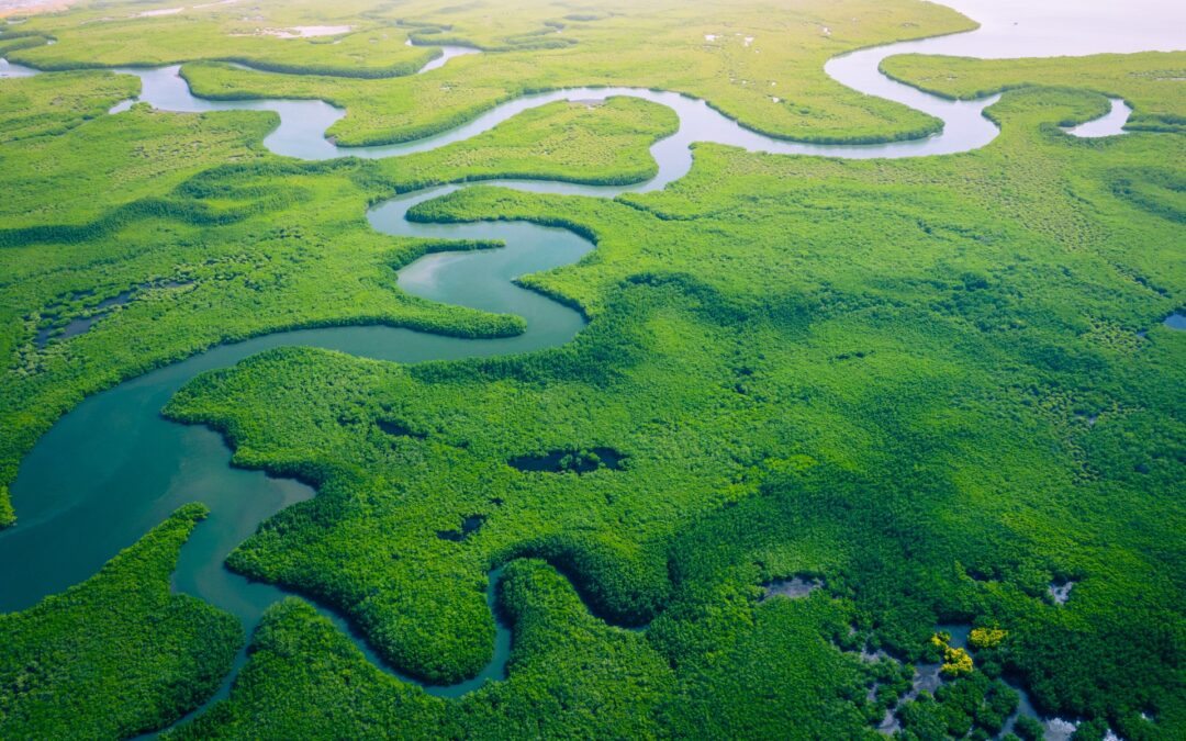 Explanatory Note #14 – Cracking the consumption paradigm: reinterpreting necessity amidst the ecological transition