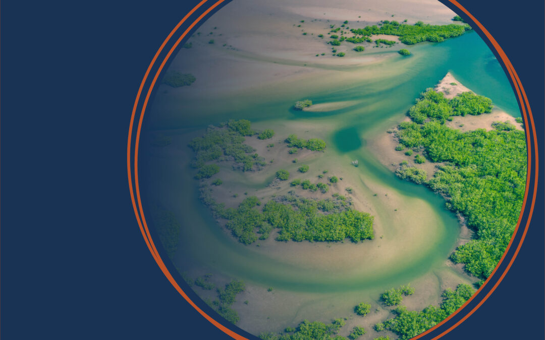 Podcast – Bande-annonce