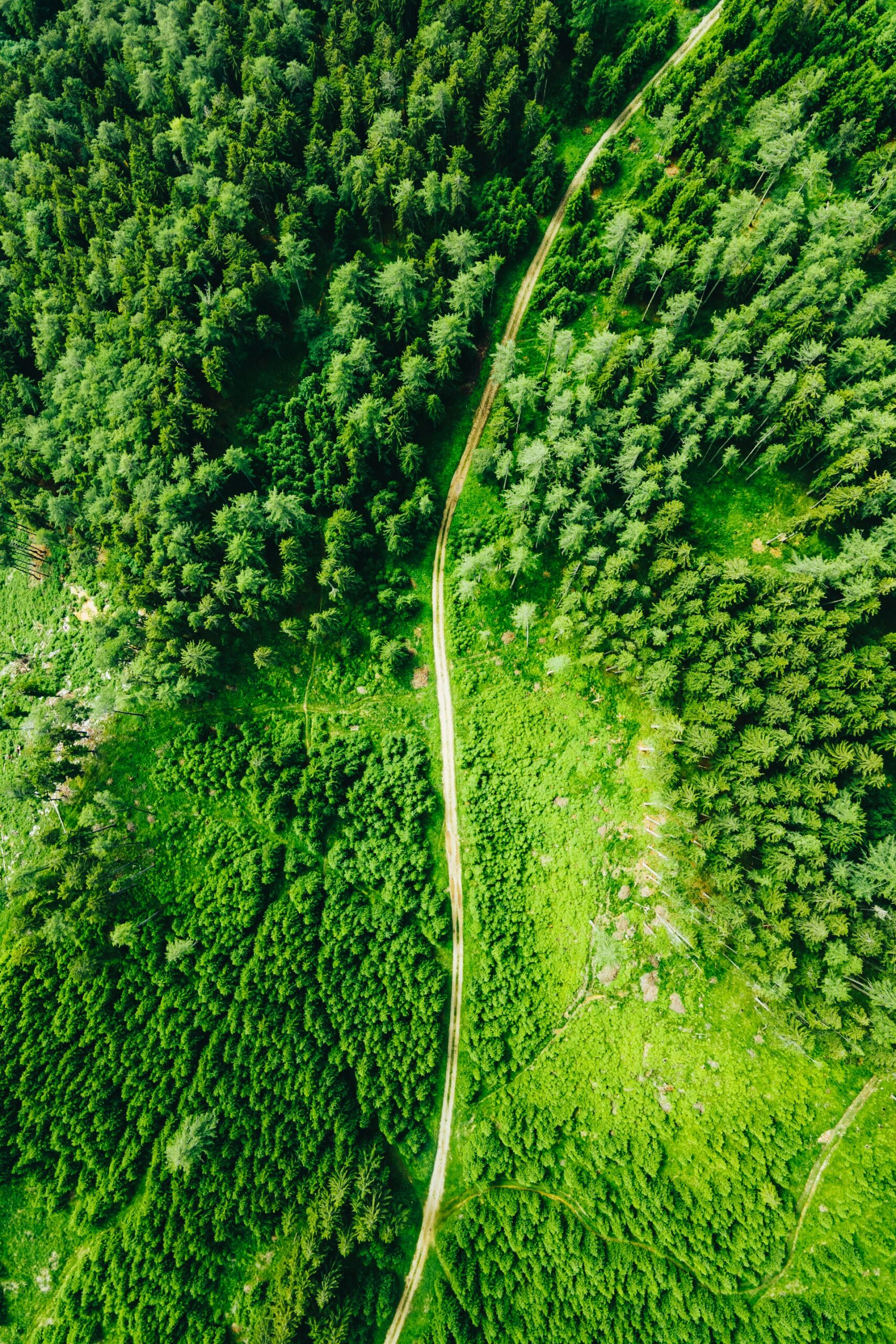 doctorat finance_miha-rekar--wm9OmdN_Ig-unsplash