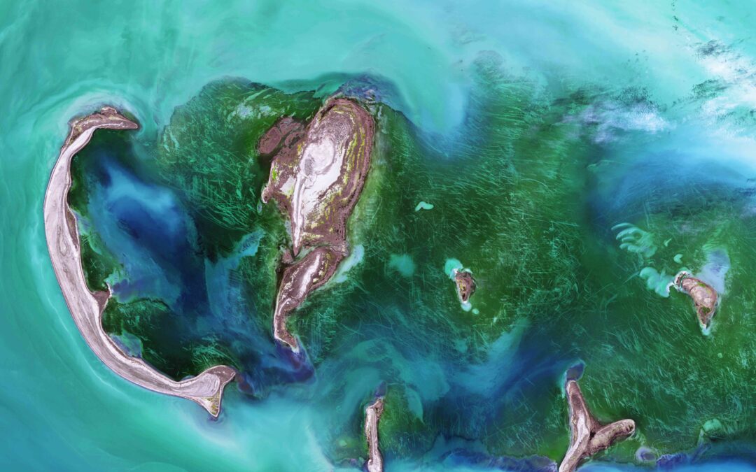 PRIX TTI.5 2025 – Controverse environnementale