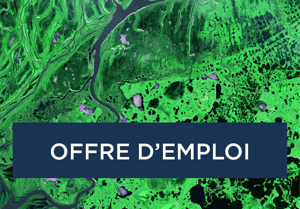 Offre d’emploi – Post-doctorat