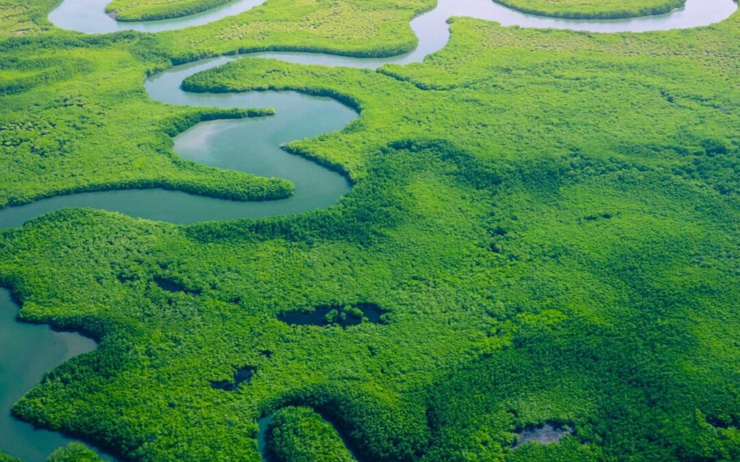 Rapport d&rsquo;activité 2025